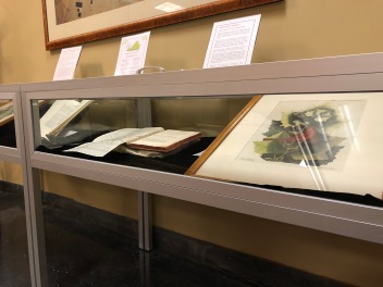 Exhibit photo with original 'Flora Virginica' and 'The Summer Red-Bird, The Wester Plane Tree' print